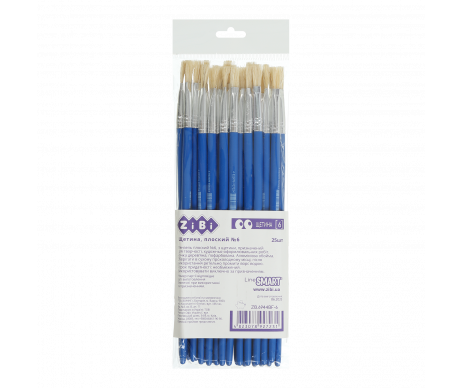 Bristle brush flat 6, SMART