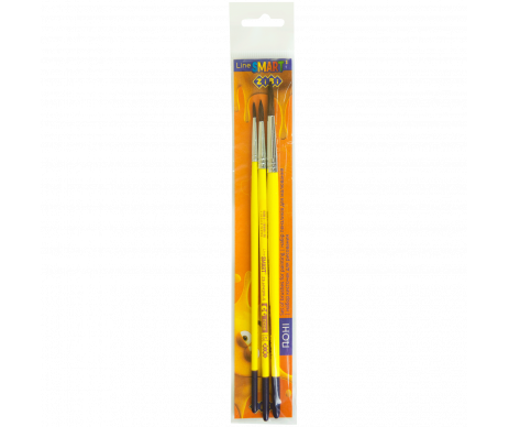 Set of 3 x brushes SMART ZB.6963PR-3
