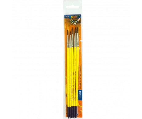 Set of 5 brushes SMART ZB.6963PR-4