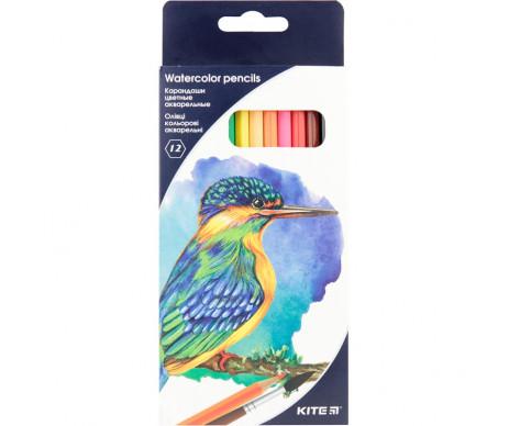 12 Kite 3024 colored watercolor pencils