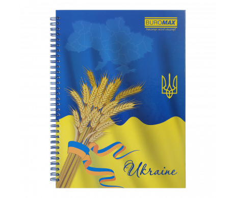 Notebook A4 96 sheets spring BM 2432