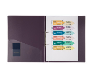 Папка на 2-х кольцах 25 мм сливовая 3279