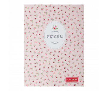 A notebook PICCOL 24522101-43