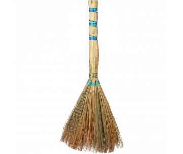 Broom sorghum 75-80 cm, top grade