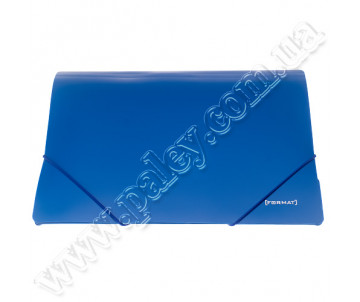 Папка на гумці А4 Format 38601 