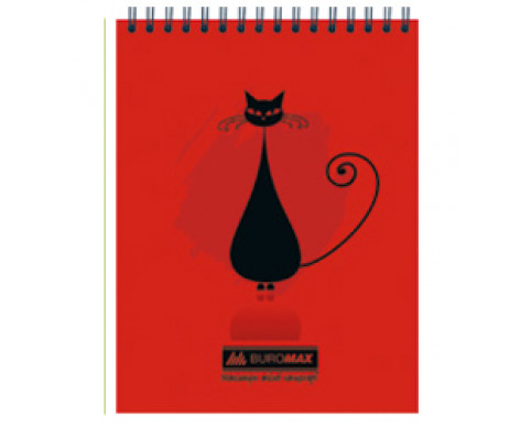 The notebook CAT 2485-05