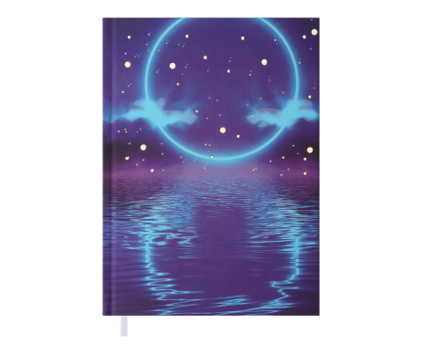 Diary undated ONLY A5 30157