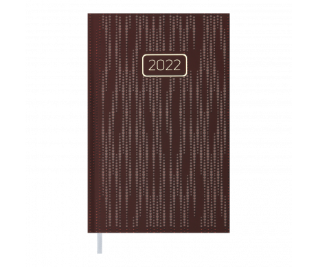 Diary of VELVET A6 burgundy BM 2521-13 