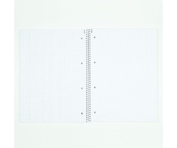 College pad A4 grid 80 sh Animal 24318