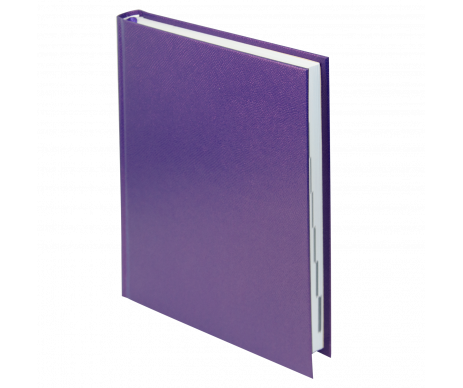 Щоденник датований 2018 PERLA, A5, 336 стр. фіолетовий
