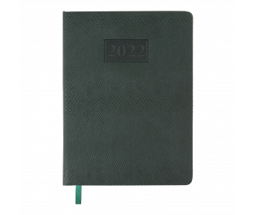Дневник AMAZONIA A5 зеленый 2114-04