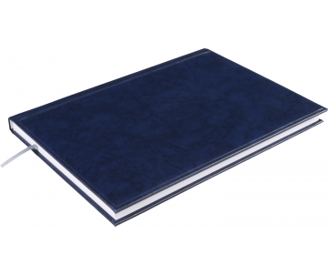 Diary undated A4 BASE 288 pages blue