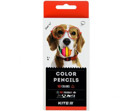 12 colored pencils Kite 26852