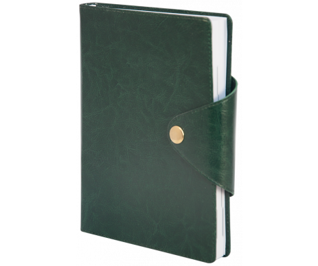 Щоденник недатований BUSINESS  A6  288 сторінок зелений