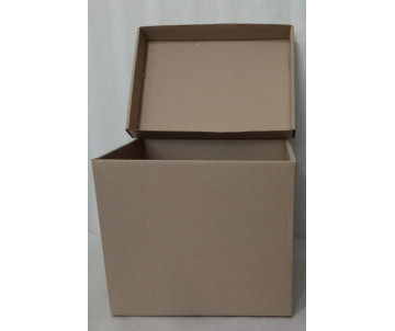 Box for archival boxes