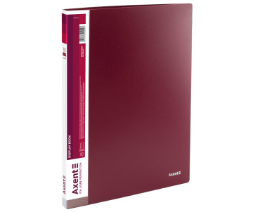 Дисплей-книга 10 файлів бордова 991