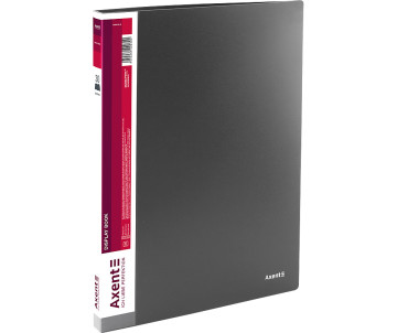 Дисплей-книга 30 файлів сіра 1018