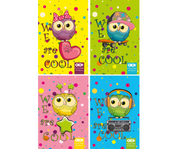 The notebook COOL OWLS 12132