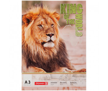 Adhesive album for drawing 100 g/m2