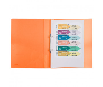 Folder on 2 rings 25 mm orange 3273