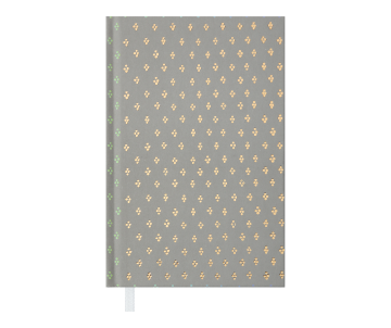 Дневник недатированный MODERNA A6 30212