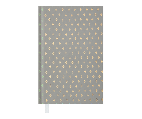 Дневник недатированный MODERNA A6 30212