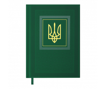 Ежедневник NATION A5 зеленый BM 2006-04