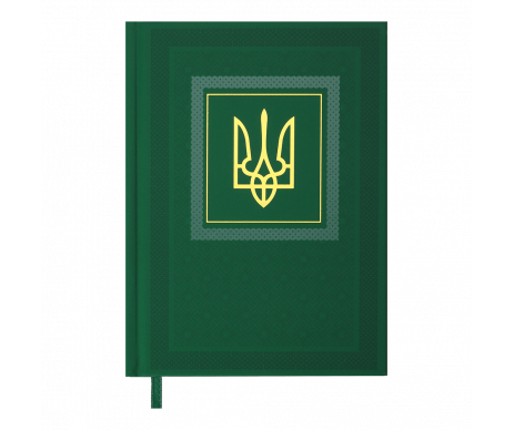 Ежедневник NATION A5 зеленый BM 2006-04