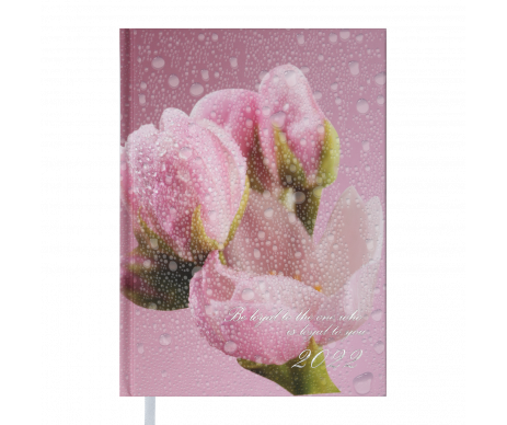 Щоденник POSH A5 рожевий BM 2118-10