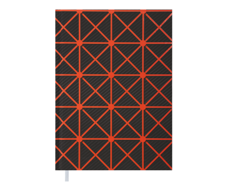 Дневник недатированный LINEA A5 29903