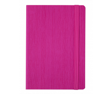 A notebook COLOR TUNES 295200-10