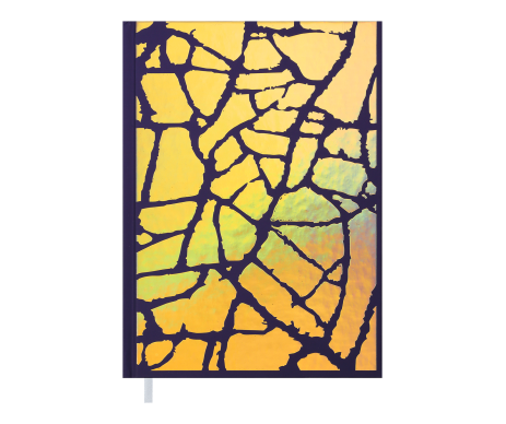 Дневник недатированный FANCY A5 29926