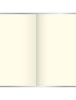 Записна книжка Компаньйон Aluminium 1632,10 552 20 05