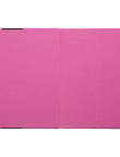Щоденник шкільний PINK В5 ZB 13204-10,ZB.13204-10