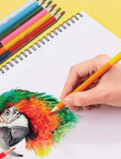 Colored pencils KIDS LINE 6 piece 99915,ZB.2462