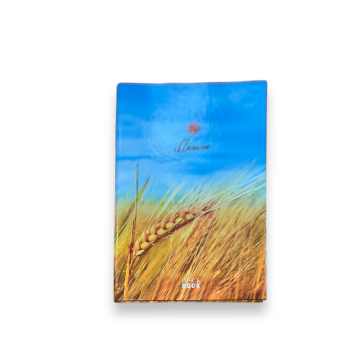 Книга офисная А4 100 арк кл, тв/пал 221/1