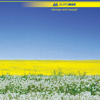 Книга офісна А4 96 арк BM.2400