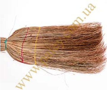 Broom sorghum