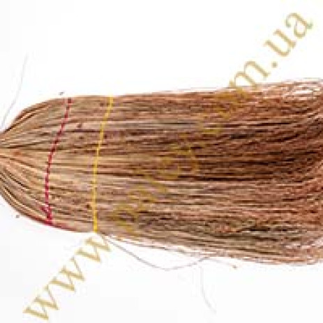 Broom sorghum,09677