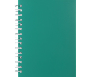 Record book CLASSIC 2589-004