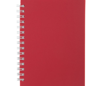 Record book CLASSIC 2589-005