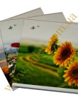Notebook 36 sheets cell 52137,36к