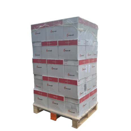 Maestro paper A4/80 (pack of 200)
