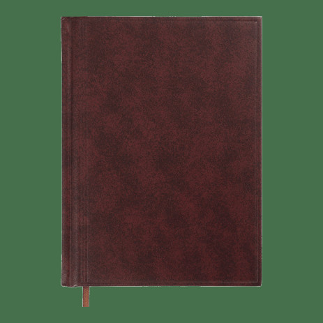 Ежедневник недатированный A5 288 стр1637,BM.2008-13