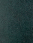 Діловий щоденник BASE A5 зелений 2108-04,BM.2108-04