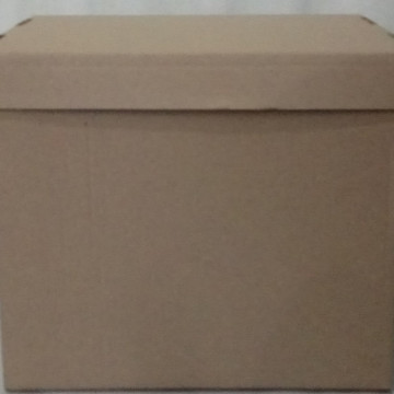 Box for archival boxes