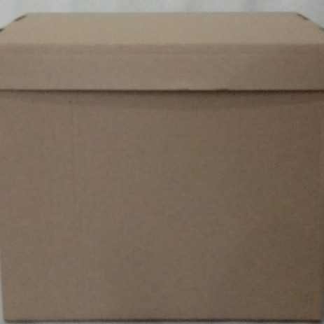 Box for archival boxes