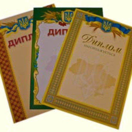 Диплом 16