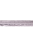 30cm ruler with holder BM-5828-30,BM.5828-30