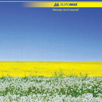 Книга офісна А4 96 арк BM.2400